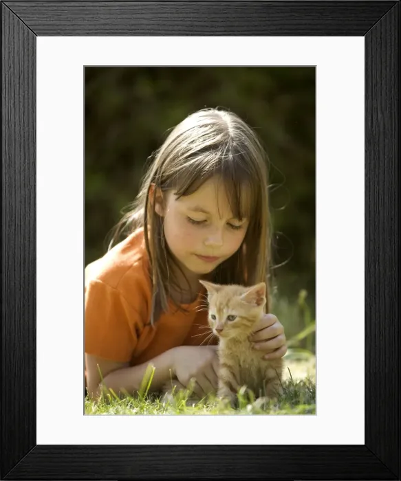 Framed Print : Picture No. 10769672 Framed Print : Picture No. 10769672