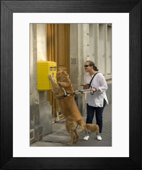 Framed Print : Picture No. 10769683