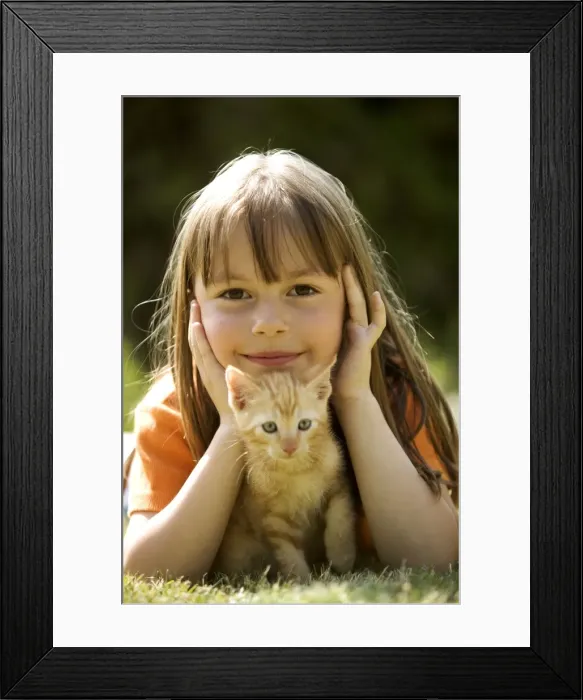 Framed Print : Picture No. 10769671
