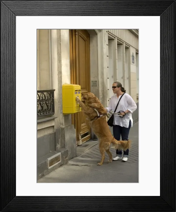 Framed Print : Picture No. 10769682 Framed Print : Picture No. 10769682