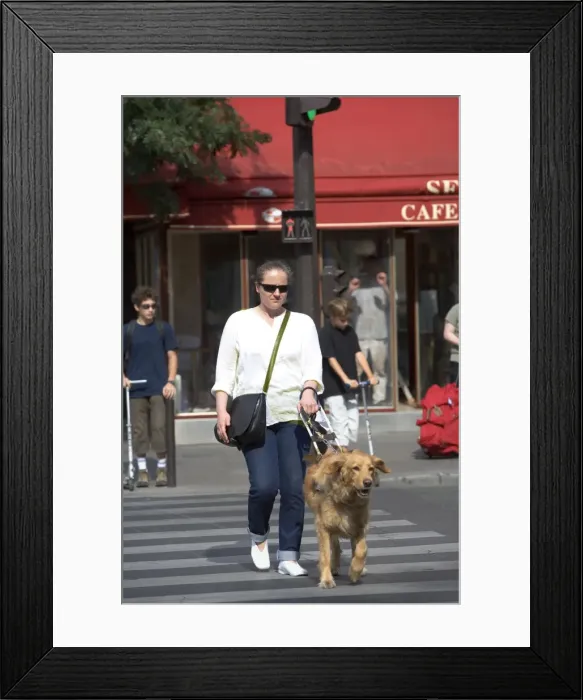 Framed Print : Picture No. 10769685 Framed Print : Picture No. 10769685