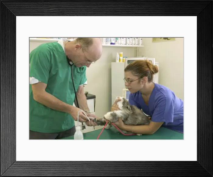 Framed Print : Picture No. 10769972 Framed Print : Picture No. 10769972