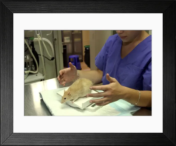 Framed Print : Picture No. 10769978
