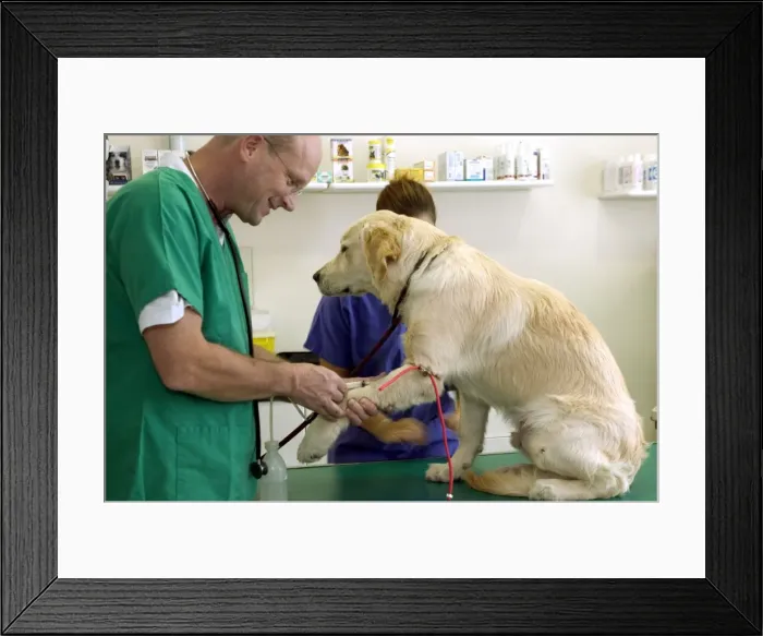 Framed Print : Picture No. 10769973