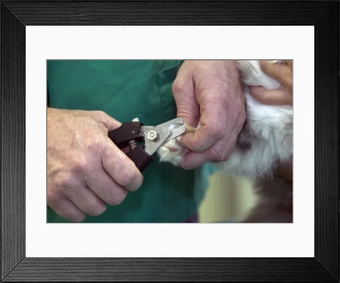 Framed Print : Picture No. 10769982 Framed Print : Picture No. 10769982