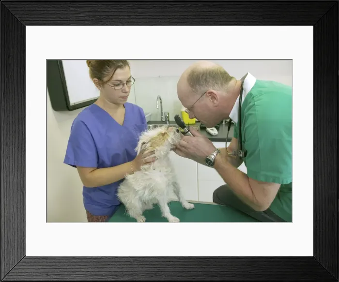 Framed Print : Picture No. 10769979 Framed Print : Picture No. 10769979