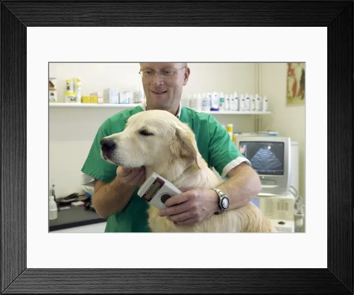 Framed Print : Picture No. 10769984 Framed Print : Picture No. 10769984