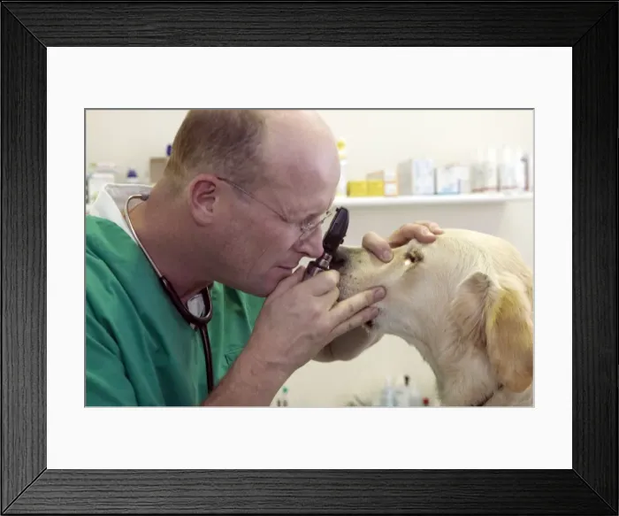 Framed Print : Picture No. 10769983 Framed Print : Picture No. 10769983