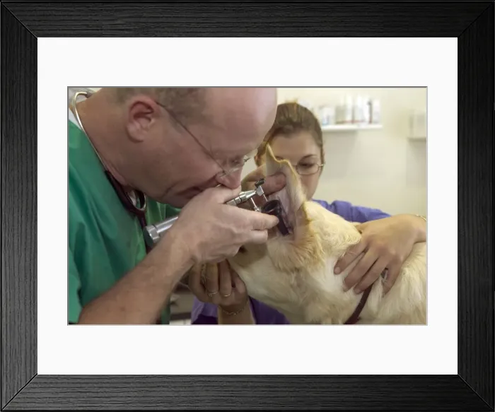 Framed Print : Picture No. 10769985 Framed Print : Picture No. 10769985
