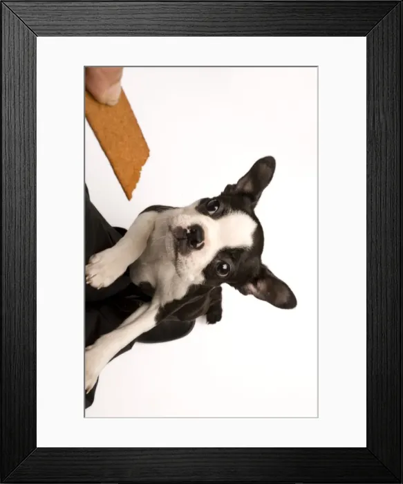 Framed Print : Picture No. 10770041 Framed Print : Picture No. 10770041