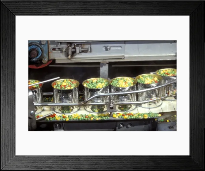 Framed Print : Picture No. 10770074 Framed Print : Picture No. 10770074