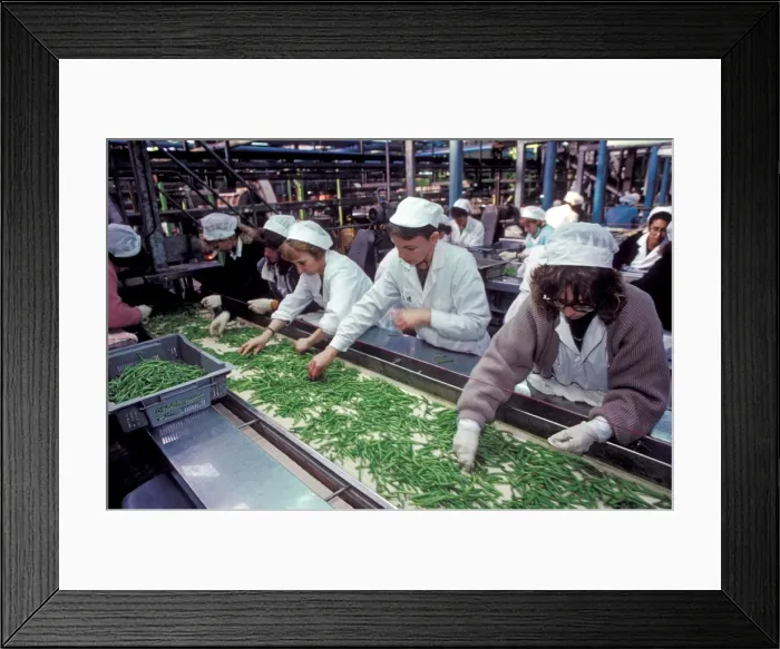 Framed Print : Picture No. 10770072 Framed Print : Picture No. 10770072