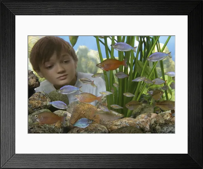 Framed Print : Picture No. 10770048 Framed Print : Picture No. 10770048