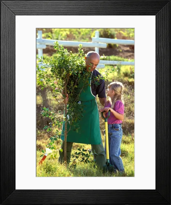 Framed Print : Picture No. 10770075 Framed Print : Picture No. 10770075