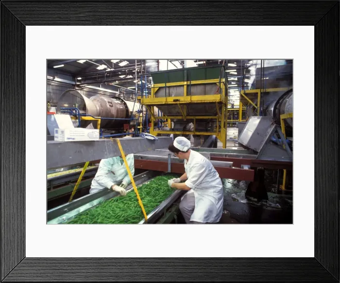 Framed Print : Picture No. 10770078