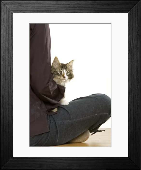Framed Print : Picture No. 10770097 Framed Print : Picture No. 10770097