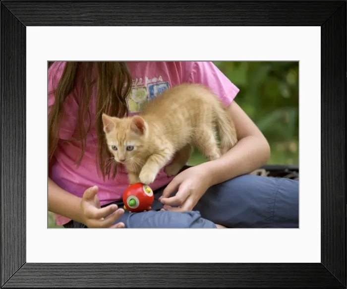 Framed Print : Picture No. 10770122 Framed Print : Picture No. 10770122