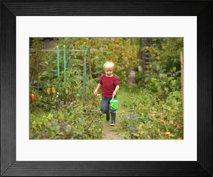 Framed Print : Picture No. 10770130 Framed Print : Picture No. 10770130