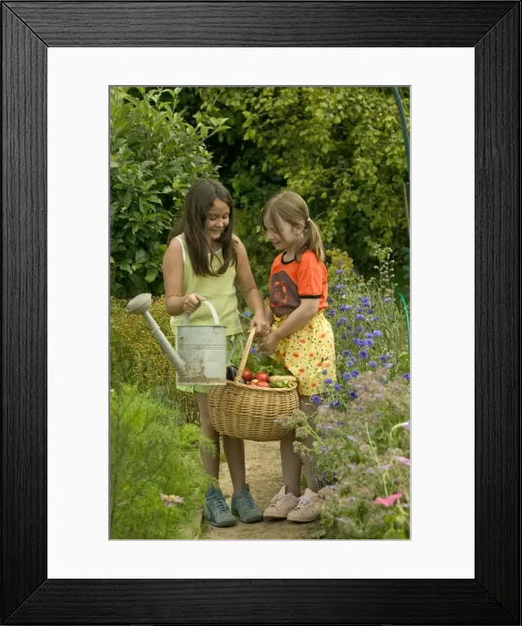 Framed Print : Picture No. 10770129 Framed Print : Picture No. 10770129