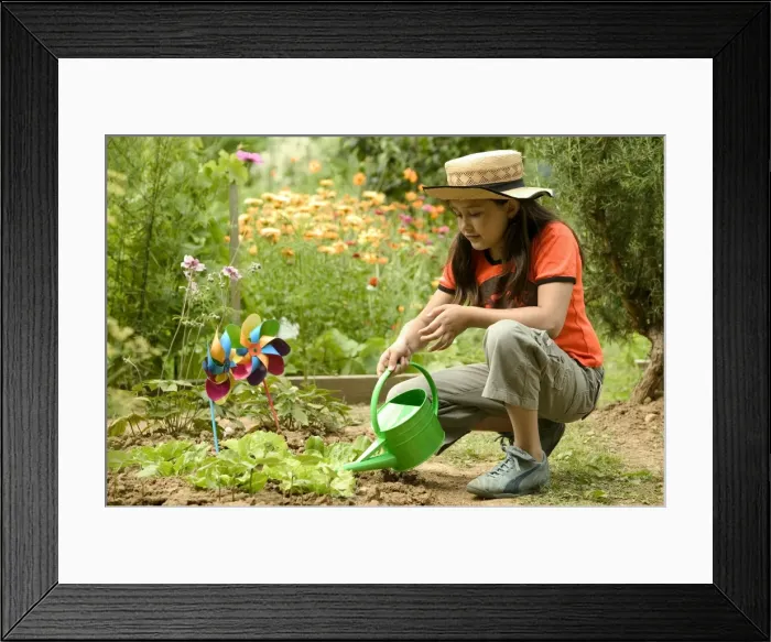 Framed Print : Picture No. 10770127