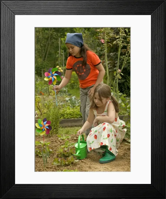Framed Print : Picture No. 10770131 Framed Print : Picture No. 10770131