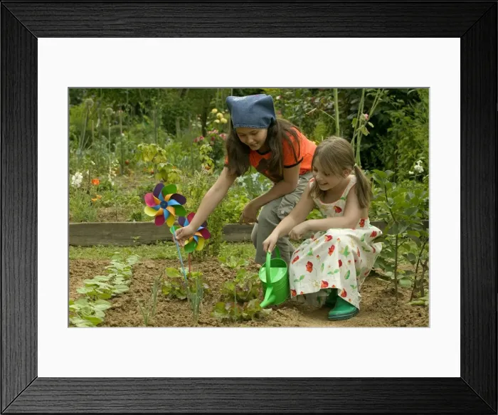 Framed Print : Picture No. 10770132 Framed Print : Picture No. 10770132