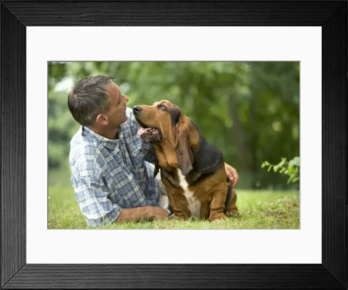 Framed Print : Picture No. 10770215 Framed Print : Picture No. 10770215
