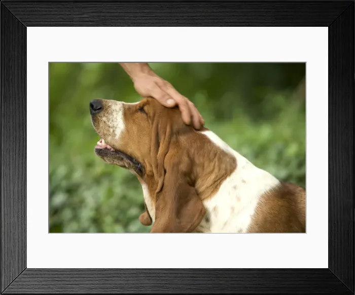 Framed Print : Picture No. 10770216 Framed Print : Picture No. 10770216
