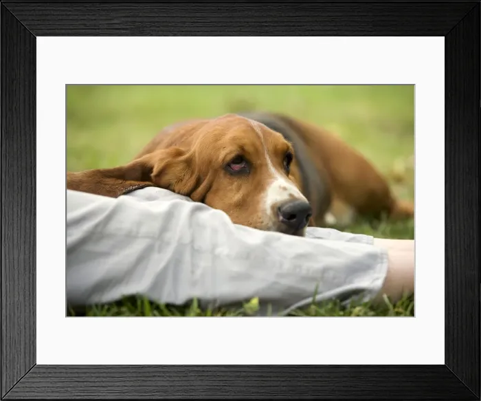 Framed Print : Picture No. 10770220 Framed Print : Picture No. 10770220