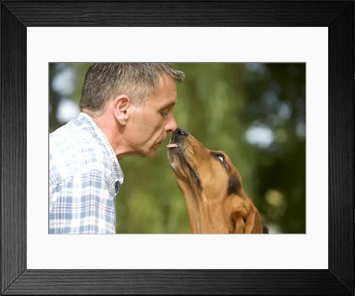 Framed Print : Picture No. 10770222 Framed Print : Picture No. 10770222