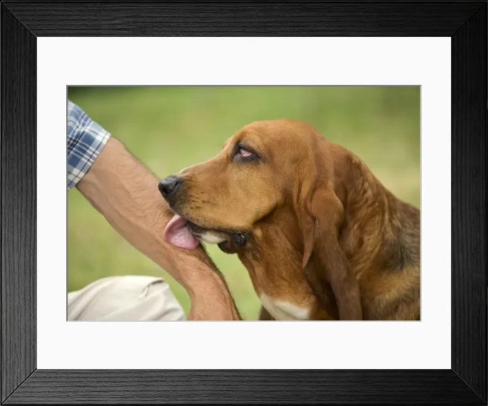 Framed Print : Picture No. 10770221 Framed Print : Picture No. 10770221