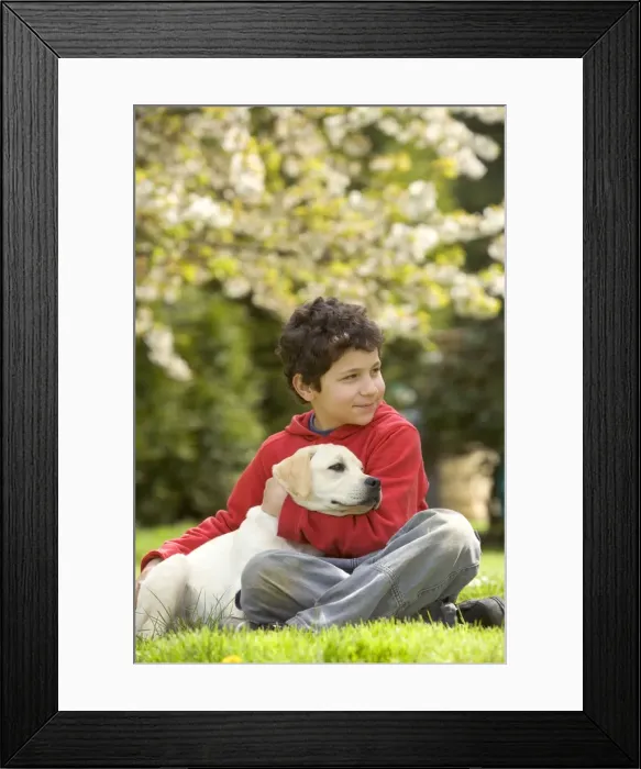 Framed Print : Picture No. 10770260 Framed Print : Picture No. 10770260