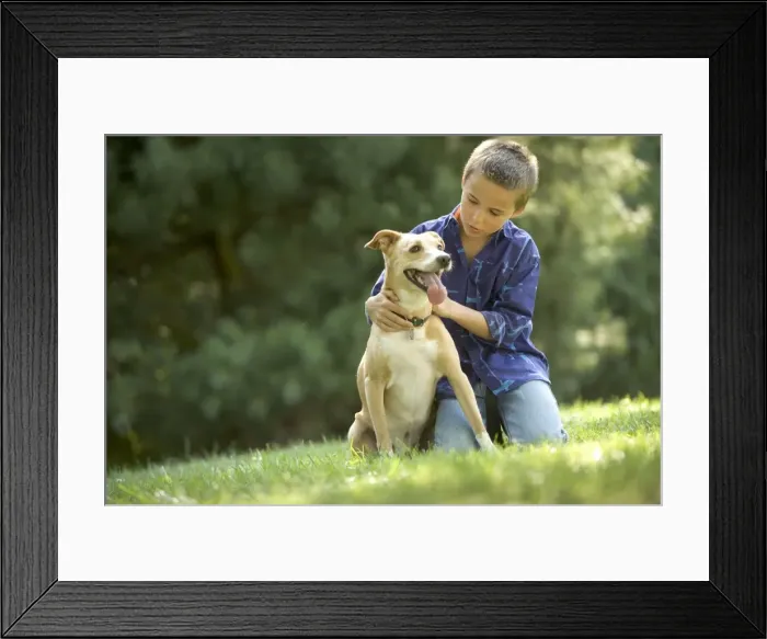 Framed Print : Picture No. 10770280 Framed Print : Picture No. 10770280