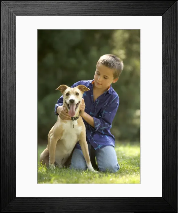 Framed Print : Picture No. 10770281 Framed Print : Picture No. 10770281