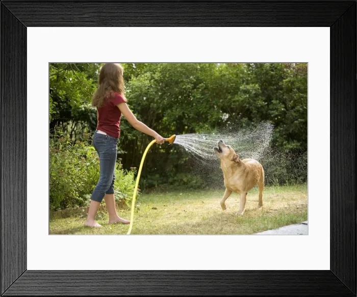 Framed Print : Picture No. 10770283 Framed Print : Picture No. 10770283