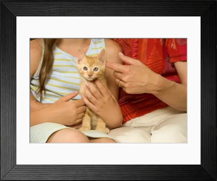 Framed Print : Picture No. 10770285 Framed Print : Picture No. 10770285