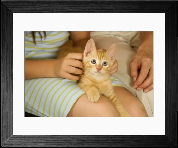 Framed Print : Picture No. 10770286 Framed Print : Picture No. 10770286
