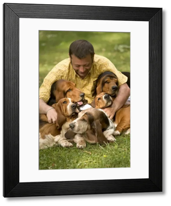 Framed Print : Picture No. 10770289 Framed Print : Picture No. 10770289