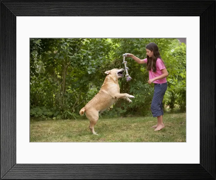 Framed Print : Picture No. 10770317 Framed Print : Picture No. 10770317