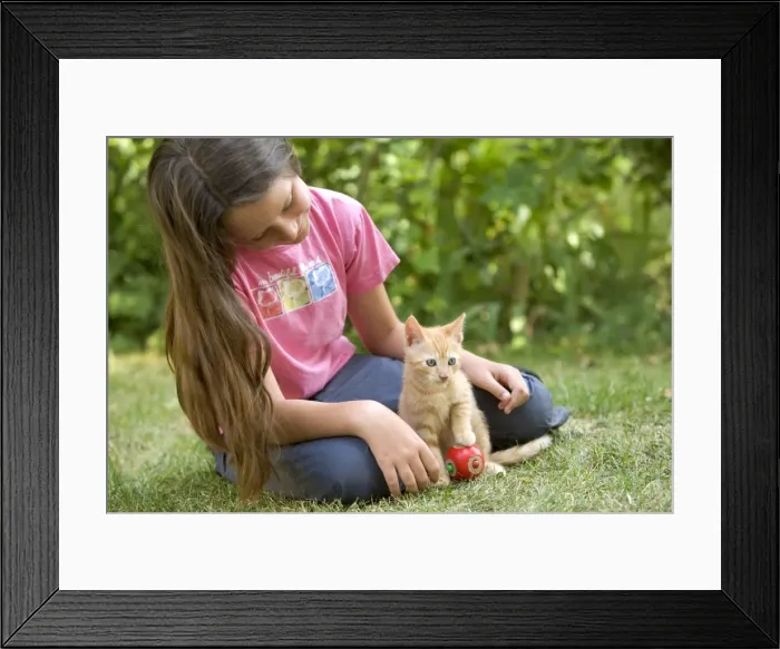 Framed Print : Picture No. 10770212 Framed Print : Picture No. 10770212
