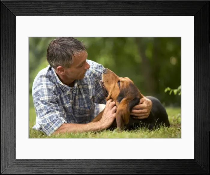 Framed Print : Picture No. 10770316 Framed Print : Picture No. 10770316