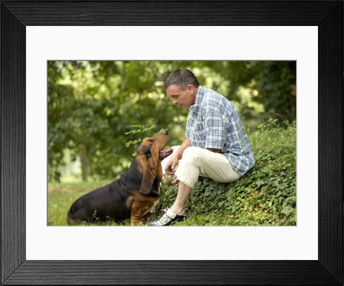 Framed Print : Picture No. 10770314 Framed Print : Picture No. 10770314