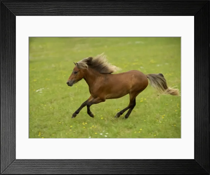 Framed Print : Picture No. 10770370 Framed Print : Picture No. 10770370
