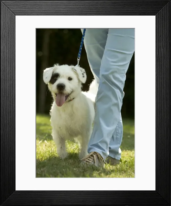 Framed Print : Picture No. 10770337 Framed Print : Picture No. 10770337