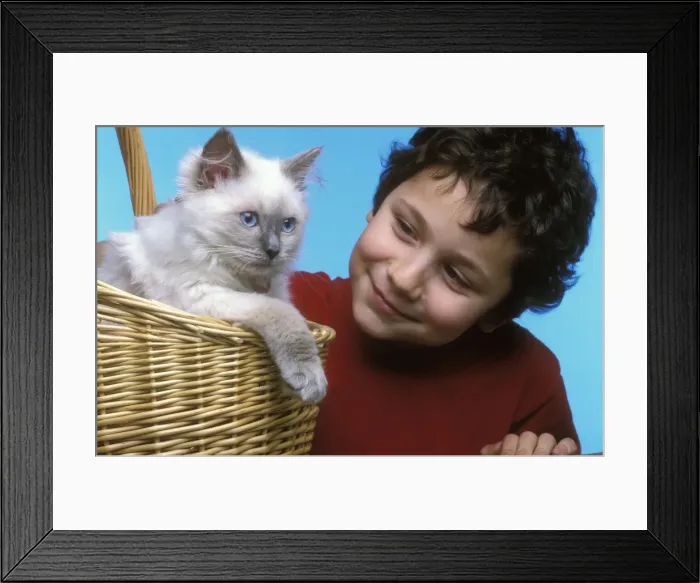 Framed Print : Picture No. 10770358 Framed Print : Picture No. 10770358