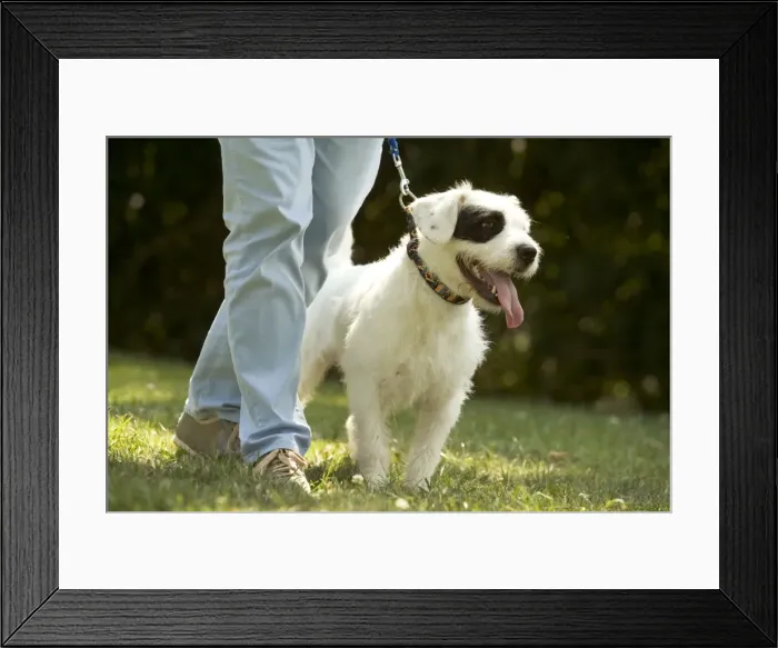 Framed Print : Picture No. 10770381 Framed Print : Picture No. 10770381