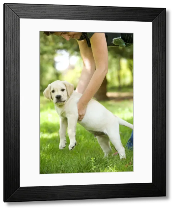Framed Print : Picture No. 10770387 Framed Print : Picture No. 10770387