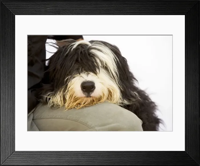 Framed Print : Picture No. 10770399
