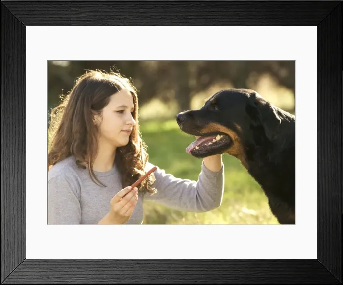 Framed Print : Picture No. 10770411 Framed Print : Picture No. 10770411