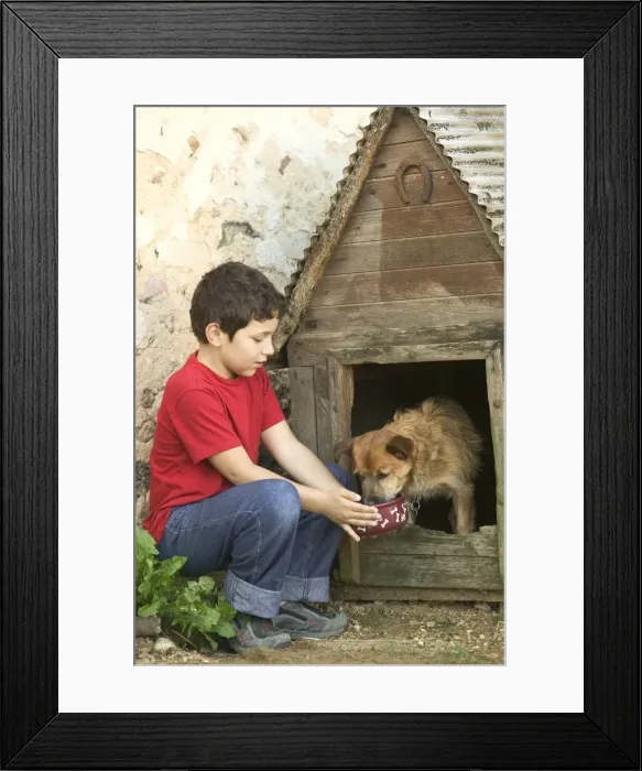Framed Print : Picture No. 10770410 Framed Print : Picture No. 10770410